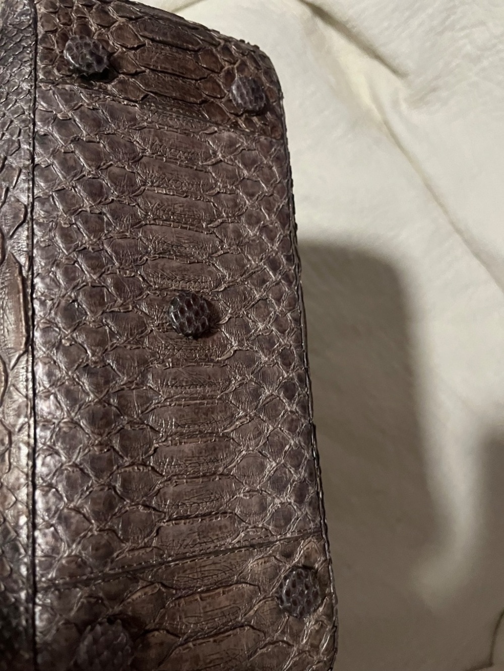 Nancy Gonzalez Python Handbag - Picture 7 of 11